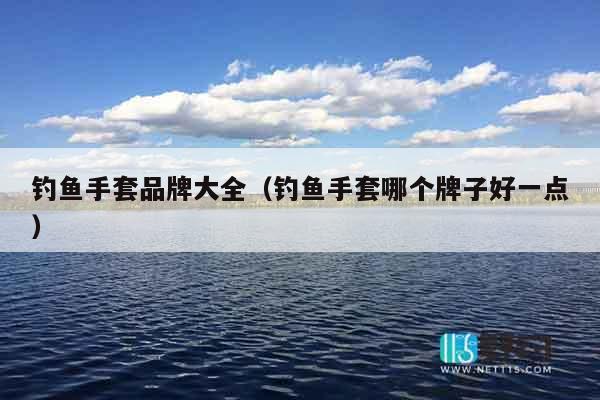 钓鱼手套品牌大全（钓鱼手套哪个牌子好一点）