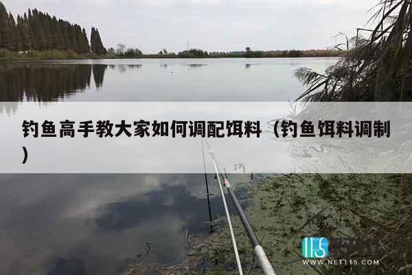 钓鱼高手教大家如何调配饵料（钓鱼饵料调制）