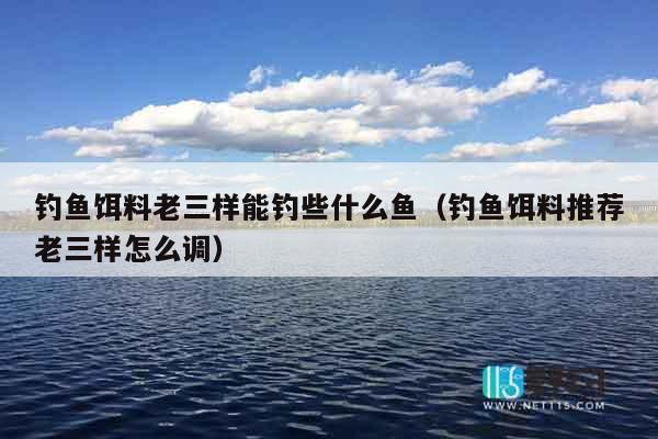 钓鱼饵料老三样能钓些什么鱼（钓鱼饵料推荐老三样怎么调）