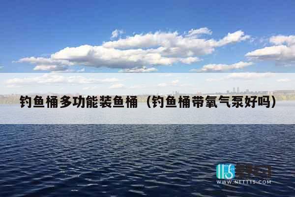 钓鱼桶多功能装鱼桶（钓鱼桶带氧气泵好吗）