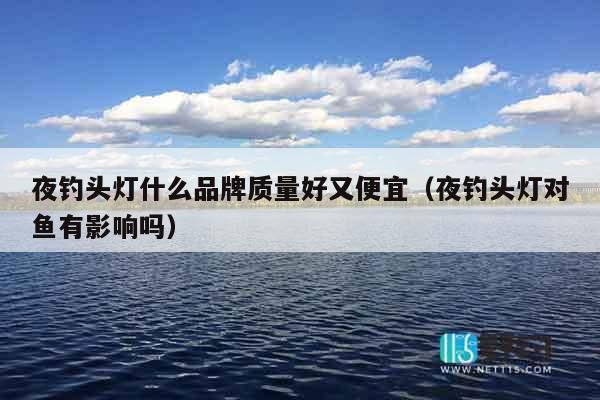 夜钓头灯什么品牌质量好又便宜（夜钓头灯对鱼有影响吗）