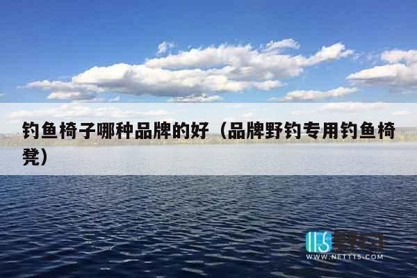 钓鱼椅子哪种品牌的好（品牌野钓专用钓鱼椅凳）