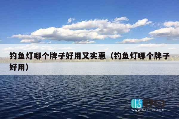 钓鱼灯哪个牌子好用又实惠（钓鱼灯哪个牌子好用）