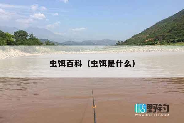 虫饵百科（虫饵是什么）