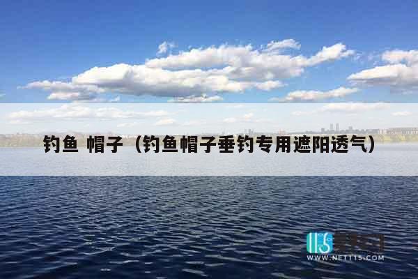 钓鱼 帽子（钓鱼帽子垂钓专用遮阳透气）