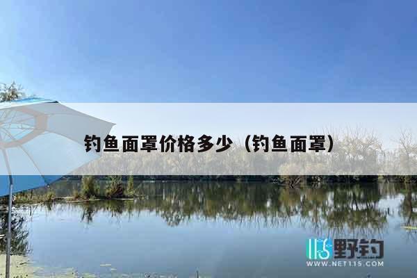 钓鱼面罩价格多少（钓鱼面罩）