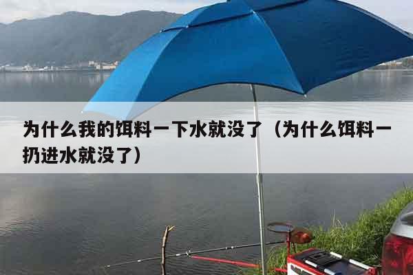 为什么我的饵料一下水就没了（为什么饵料一扔进水就没了）