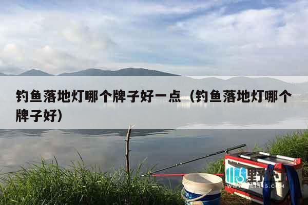 钓鱼落地灯哪个牌子好一点（钓鱼落地灯哪个牌子好）