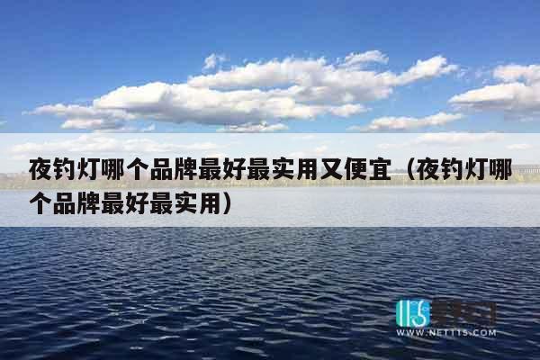 夜钓灯哪个品牌最好最实用又便宜（夜钓灯哪个品牌最好最实用）