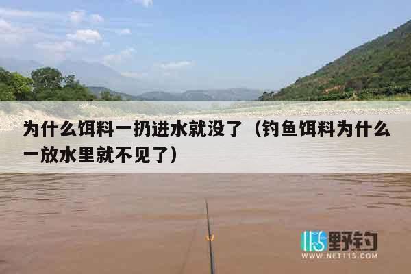 为什么饵料一扔进水就没了（钓鱼饵料为什么一放水里就不见了）