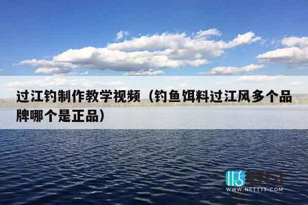 过江钓制作教学视频（钓鱼饵料过江风多个品牌哪个是正品）