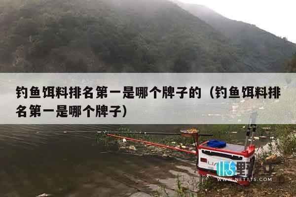 钓鱼饵料排名第一是哪个牌子的（钓鱼饵料排名第一是哪个牌子）