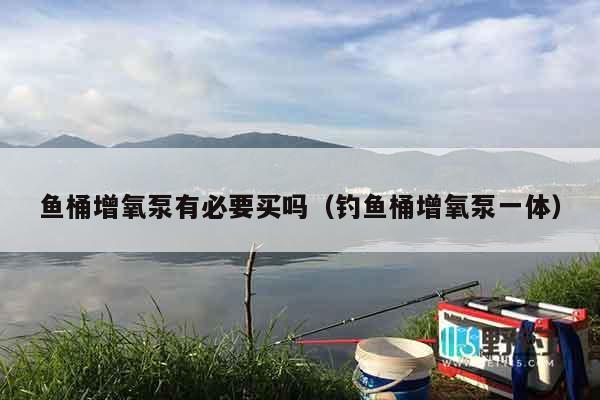 鱼桶增氧泵有必要买吗（钓鱼桶增氧泵一体）