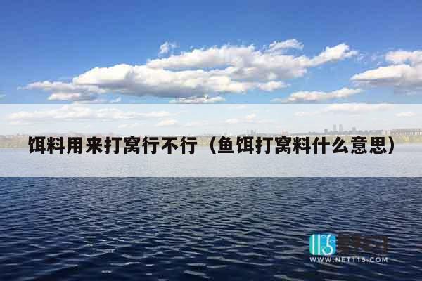 饵料用来打窝行不行（鱼饵打窝料什么意思）