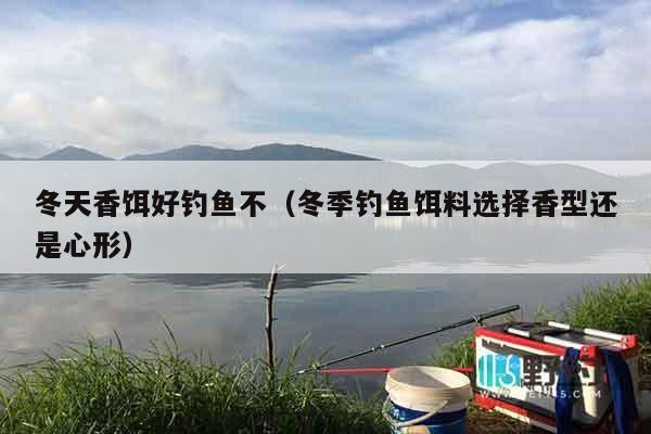 冬天香饵好钓鱼不（冬季钓鱼饵料选择香型还是心形）