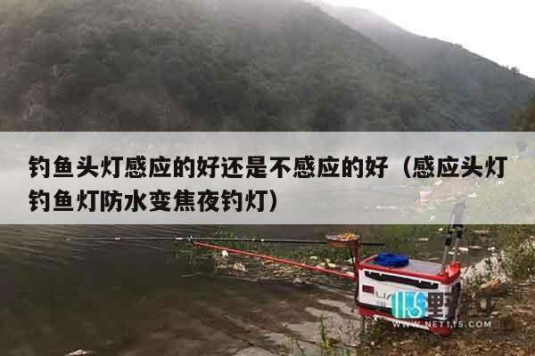 钓鱼头灯感应的好还是不感应的好（感应头灯钓鱼灯防水变焦夜钓灯）