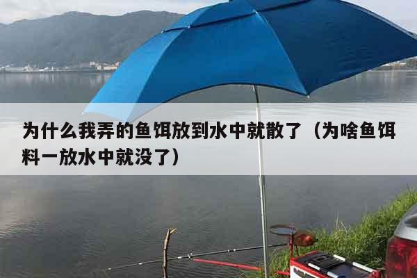 为什么我弄的鱼饵放到水中就散了（为啥鱼饵料一放水中就没了）