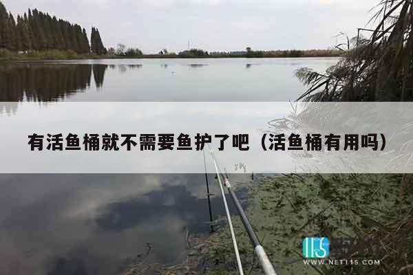 有活鱼桶就不需要鱼护了吧（活鱼桶有用吗）