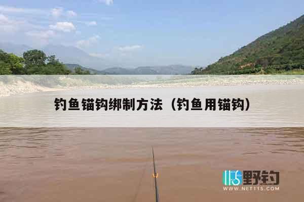 钓鱼锚钩绑制方法（钓鱼用锚钩）
