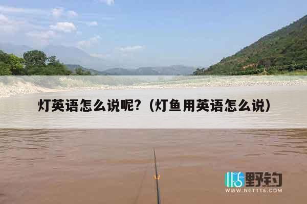 灯英语怎么说呢?（灯鱼用英语怎么说）