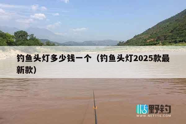 钓鱼头灯多少钱一个（钓鱼头灯2025款最新款）