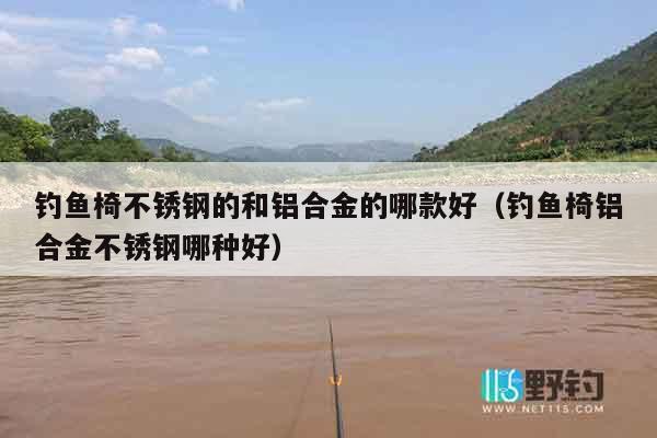 钓鱼椅不锈钢的和铝合金的哪款好（钓鱼椅铝合金不锈钢哪种好）