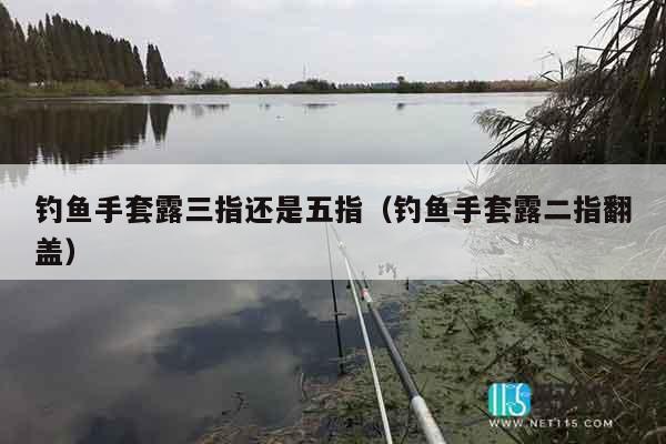 钓鱼手套露三指还是五指（钓鱼手套露二指翻盖）