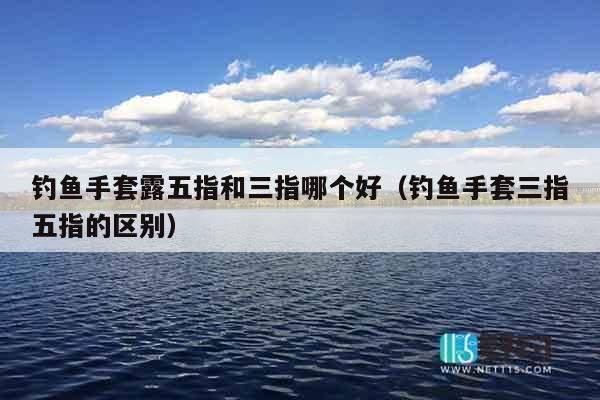 钓鱼手套露五指和三指哪个好（钓鱼手套三指五指的区别）