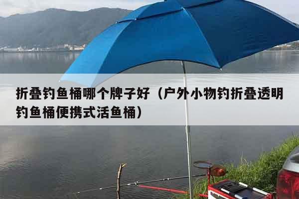 折叠钓鱼桶哪个牌子好（户外小物钓折叠透明钓鱼桶便携式活鱼桶）