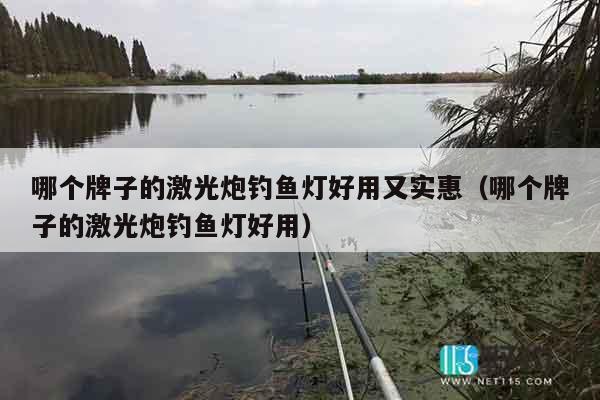 哪个牌子的激光炮钓鱼灯好用又实惠（哪个牌子的激光炮钓鱼灯好用）