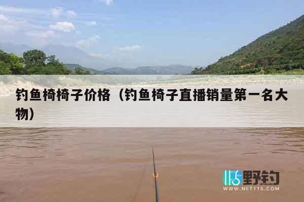 钓鱼椅椅子价格（钓鱼椅子直播销量第一名大物）