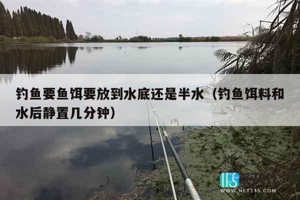 钓鱼要鱼饵要放到水底还是半水（钓鱼饵料和水后静置几分钟）