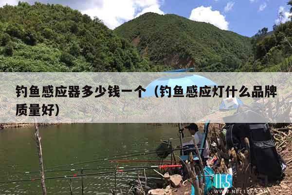 钓鱼感应器多少钱一个（钓鱼感应灯什么品牌质量好）