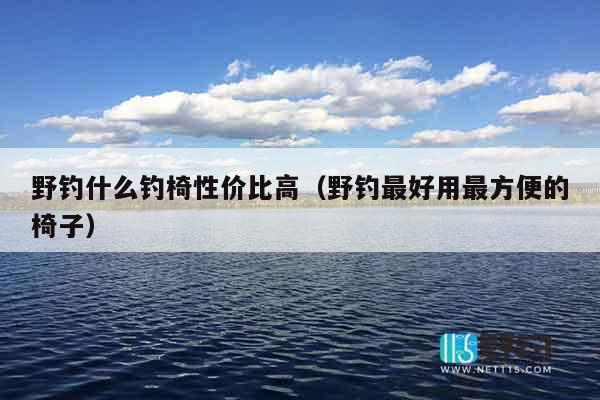 野钓什么钓椅性价比高（野钓最好用最方便的椅子）