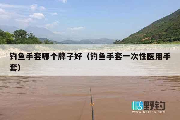 钓鱼手套哪个牌子好（钓鱼手套一次性医用手套）