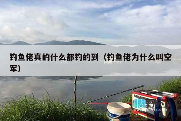 钓鱼佬真的什么都钓的到（钓鱼佬为什么叫空军）