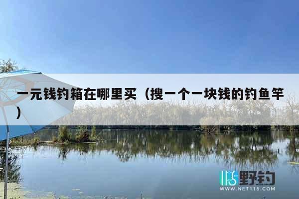 一元钱钓箱在哪里买(搜一个一块钱的钓鱼竿) 一元钱钓箱在哪里买(搜一个一块钱的钓鱼竿)