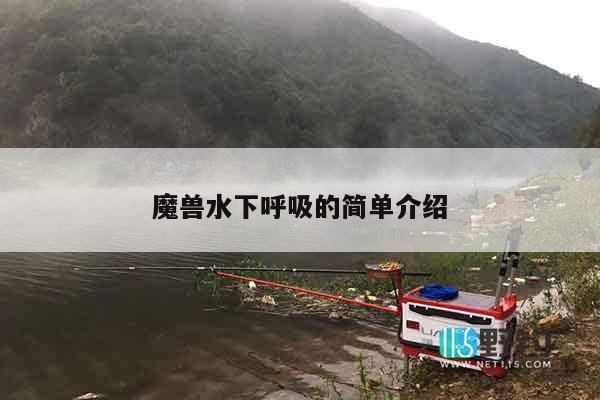 魔兽水下呼吸的简单介绍 魔兽水下呼吸的简单介绍
