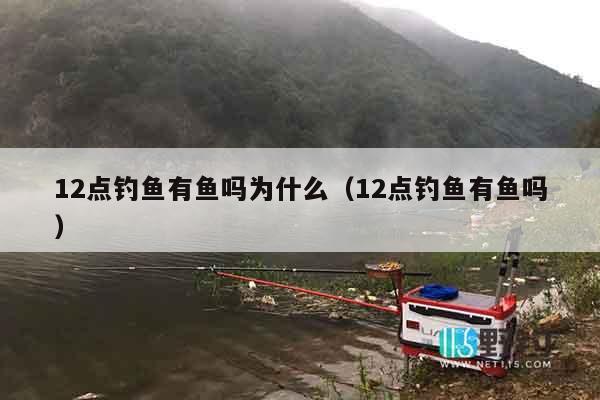 12点钓鱼有鱼吗为什么(12点钓鱼有鱼吗) 12点钓鱼有鱼吗为什么(12点钓鱼有鱼吗)