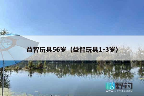 益智玩具56岁（益智玩具1-3岁）