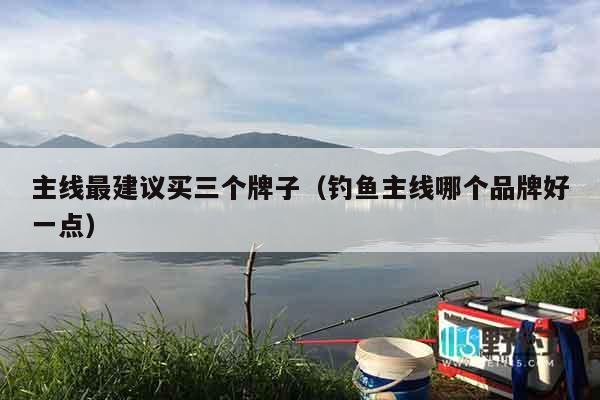 主线最建议买三个牌子(钓鱼主线哪个品牌好一点) 主线最建议买三个牌子(钓鱼主线哪个品牌好一点)