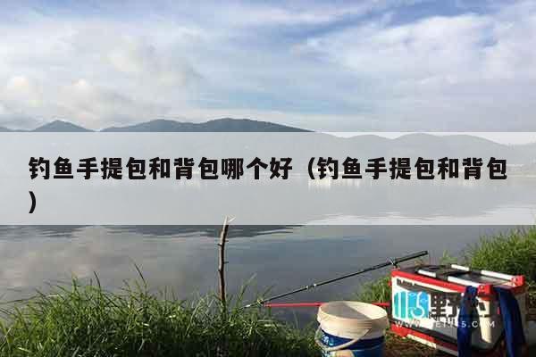 钓鱼手提包和背包哪个好(钓鱼手提包和背包) 钓鱼手提包和背包哪个好(钓鱼手提包和背包)