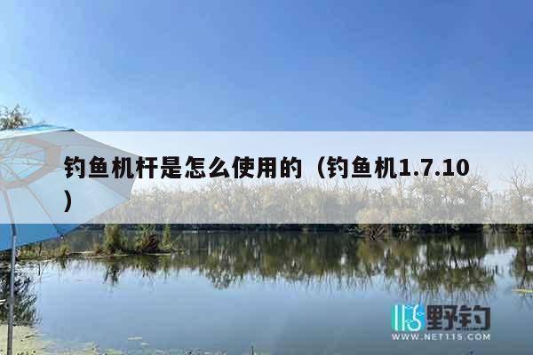钓鱼机杆是怎么使用的(钓鱼机1.7.10) 钓鱼机杆是怎么使用的(钓鱼机1.7.10)