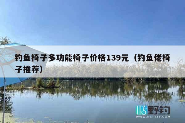 钓鱼椅子多功能椅子价格139元（钓鱼佬椅子推荐）