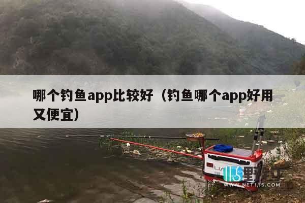 哪个钓鱼app比较好（钓鱼哪个app好用又便宜）