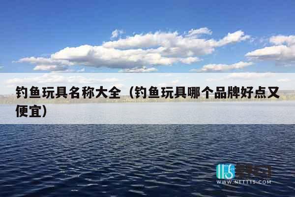 钓鱼玩具名称大全(钓鱼玩具哪个品牌好点又便宜) 钓鱼玩具名称大全(钓鱼玩具哪个品牌好点又便宜)