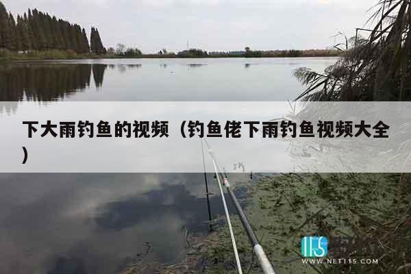 下大雨钓鱼的视频（钓鱼佬下雨钓鱼视频大全）