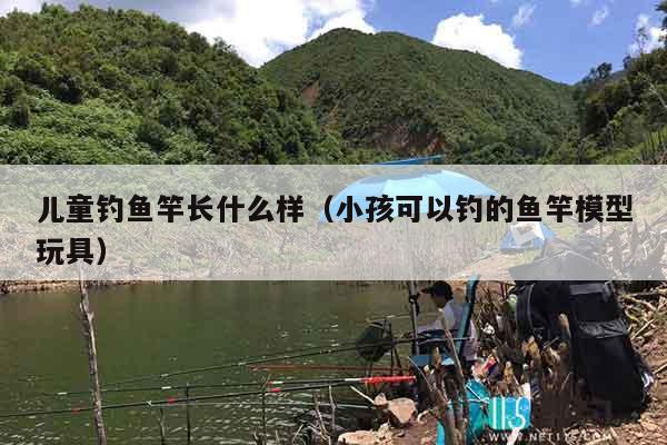 儿童钓鱼竿长什么样(小孩可以钓的鱼竿模型玩具) 儿童钓鱼竿长什么样(小孩可以钓的鱼竿模型玩具)