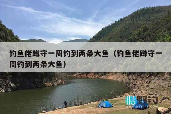 钓鱼佬蹲守一周钓到两条大鱼(钓鱼佬蹲守一周钓到两条大鱼) 钓鱼佬蹲守一周钓到两条大鱼(钓鱼佬蹲守一周钓到两条大鱼)