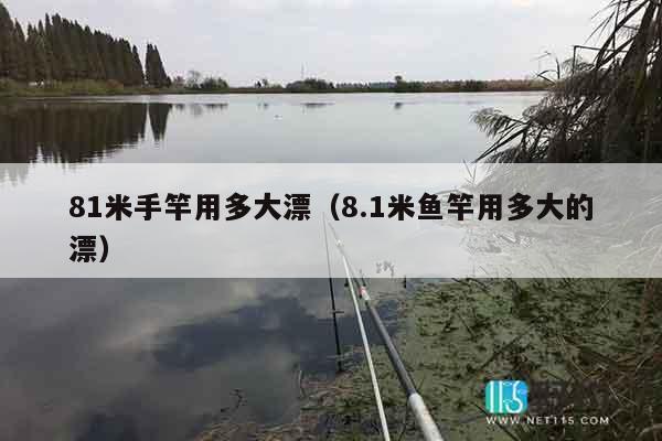 81米手竿用多大漂(8.1米鱼竿用多大的漂) 81米手竿用多大漂(8.1米鱼竿用多大的漂)